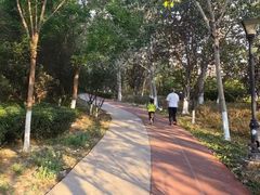 -绿岛公园(滨海新区)