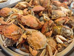 -四海蒸鲜蒸汽海鲜自助(北戴河店)