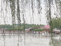 -白洋淀景区