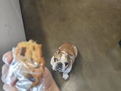 -丘中有甜(乐清·江南里店)