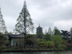 -西湖游船