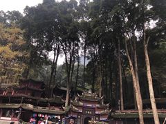 -青城山