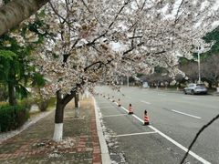 -中国海洋大学（崂山校区）-游泳馆