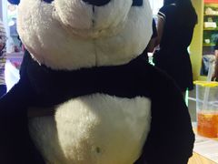 -PAWTOY爪e玩偶店(天兴罗斯福店)