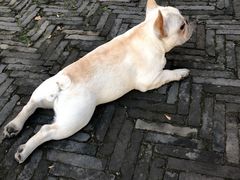 -阿木舂记·特色小吃(平江路店)