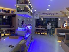 -喵园·猫主题咖啡厅·撸猫·猫咖(国贸店)