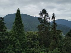 -井冈山革命烈士陵园