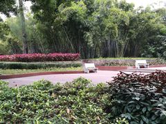 -晓港公园