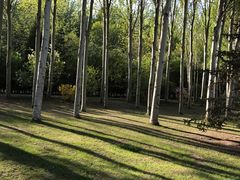 -森林公园(尖草坪区)