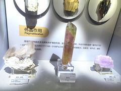 -湖南省地质博物馆