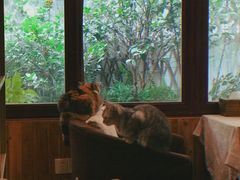 -隅cafe(傅厚岗店)