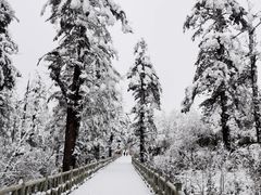 -瓦屋山景区