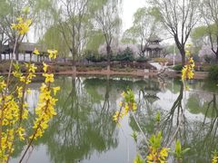 -石家庄市植物园