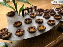 海胆-尚海豆捞(乐虹坊店)