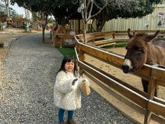 -HERRE·FARM 赫尔露营农场·团建聚会包场