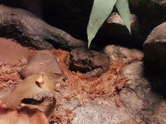 -可伦宾野生动物保护区