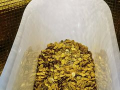 -不可思议减压馆·解压博物馆·摔碗发泄·团建定制