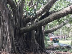 -可伦宾野生动物保护区