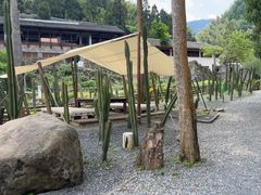 -MOJ coffee(瓯海泽雅水碓坑店)