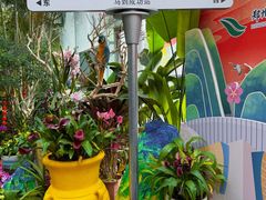 -郑州植物园
