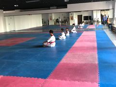 -陈中跆拳道(中关村馆)