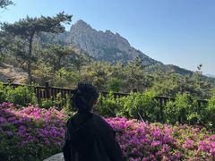 -崂山仰口游览区