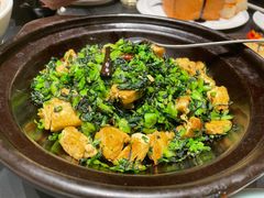 青菜豆腐煲-铜锣湾·有麝自然香(渝北财富中心店)