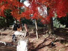 -醍醐寺