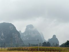 -明仕田园