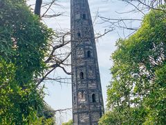 -上海佘山国家森林公园天马山园