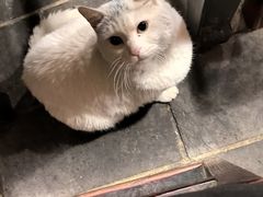 -张记牛肉面馆(天津路店)