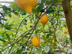 -南通洲际绿博园