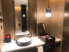 -新加坡瑞士史丹福酒店