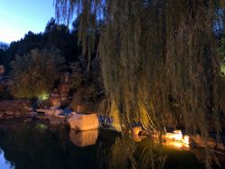 -颐和宾馆宴会厅