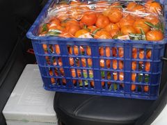 -东方鼎信农副产品交易中心
