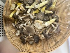 -鲜菌江湖正宗野生菌火锅