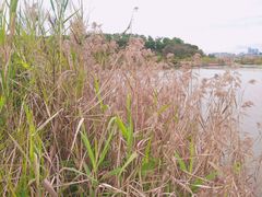 -飞凤山奥体公园
