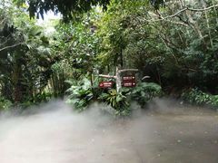 -呀诺达热带雨林