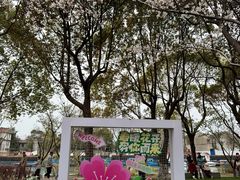 -高东镇樱花园