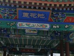 -莲花池公园