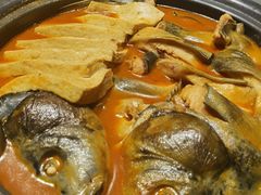 开河鲤鱼-九十九顶毡房(阜石路店)