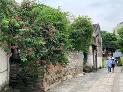 -三溪村