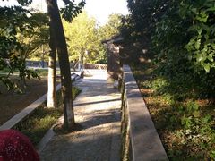 -镇江市南山风景名胜区竹林景区