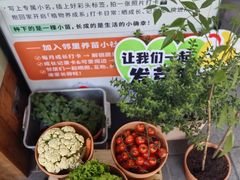 -瑞虹新天地月亮湾
