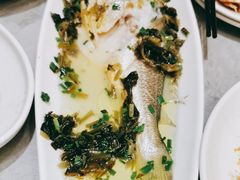 -老绍兴养和饭店(向阳不夜城店)