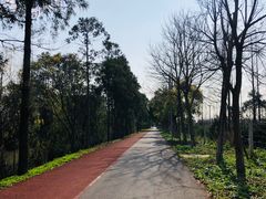 -上海长兴岛郊野公园