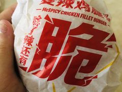 -麦当劳(新新大道岗丰店)