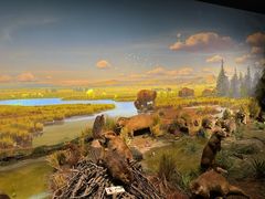 -陕西自然博物馆