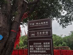 -巢湖姥山岛