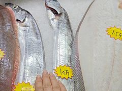 -渔码头食府(蓬莱阁店)